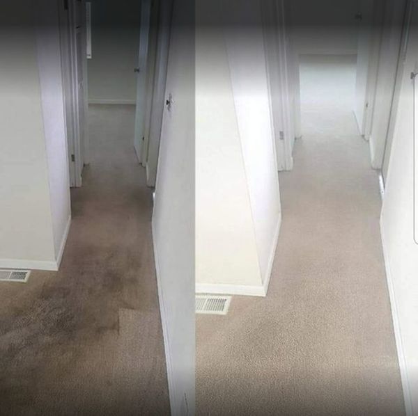 Before & After Carpet Cleaning in Minneapolis, MN (1)