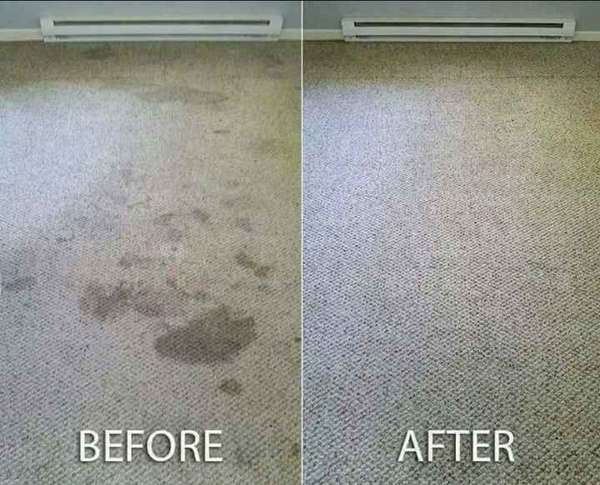 Before & After Carpet Cleaning in Minneapolis, MN (1)
