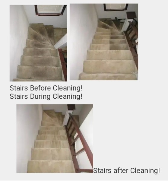 Carpet Cleaning in Deephaven, MN (1)