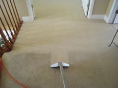 Before & After Steam Cleaning in Minneapolis, MN (1)