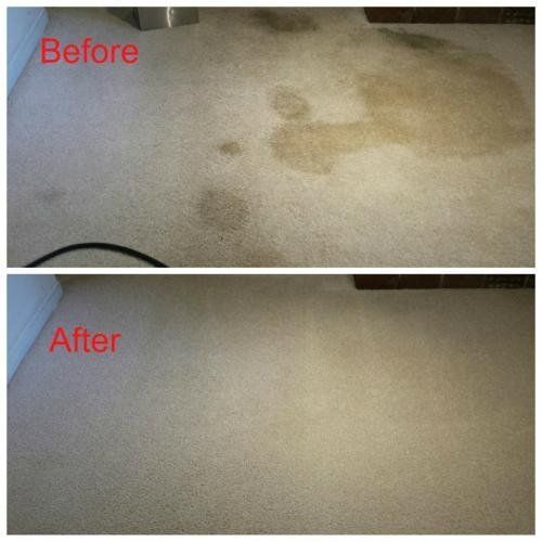 Before & After Steam Cleaning in Minneapolis, MN (3)