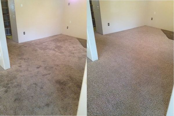 Before & After Carpet Cleaning in Minneapolis, MN (1)