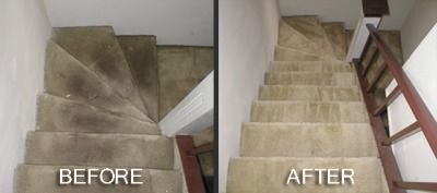 Before & After Carpet Cleaning in Minneapolis, MN (1)